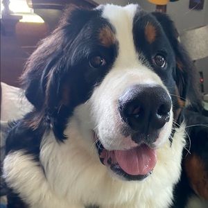 Meet your Posher, Debra